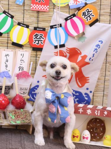 20240720ポンタくん